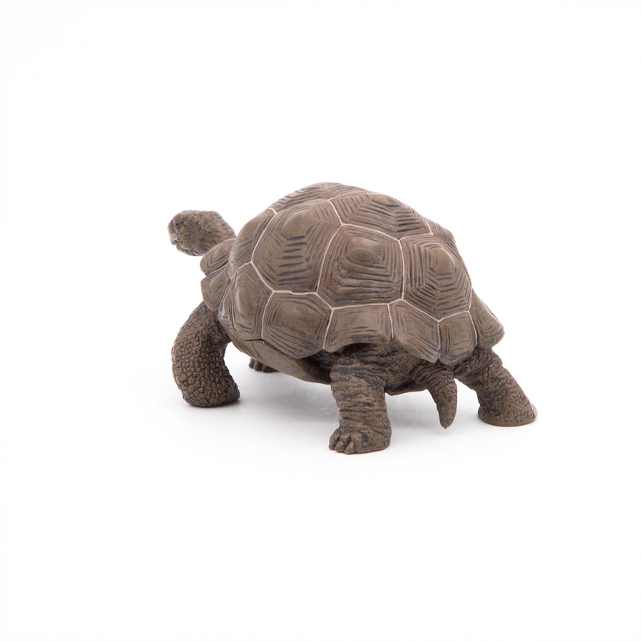 Figurine Tortue des Galápagos Papo en PVC, thème reptiles, Collection Animaux sauvages, jouet éducatif idéal pour enfants et collectionneurs
