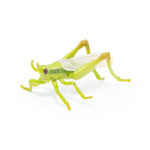 Figurine Sauterelle Papo en PVC, thème insectes, Collection Animaux des jardins, jouet éducatif idéal pour enfants et collectionneurs