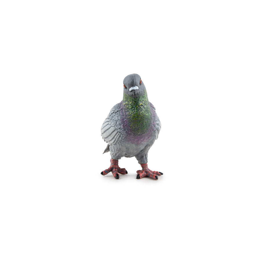 Figurine Pigeon Papo en PVC, thème oiseaux, Collection Animaux des jardins, jouet éducatif idéal pour enfants et collectionneurs