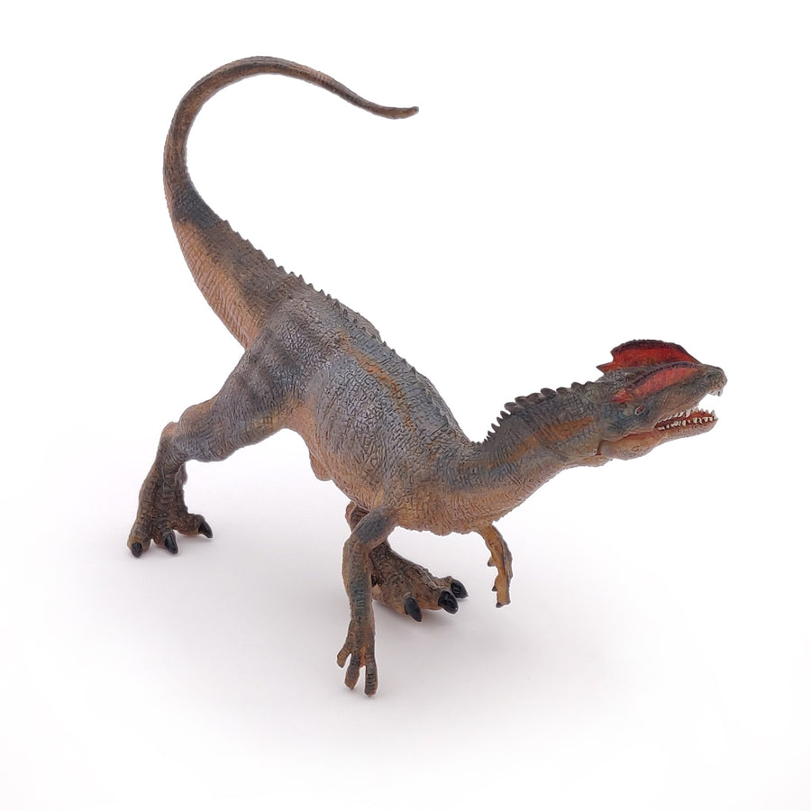 Dilophosaure Papo en PVC, Collection Dinosaures, jouet éducatif idéal pour enfants et collectionneurs