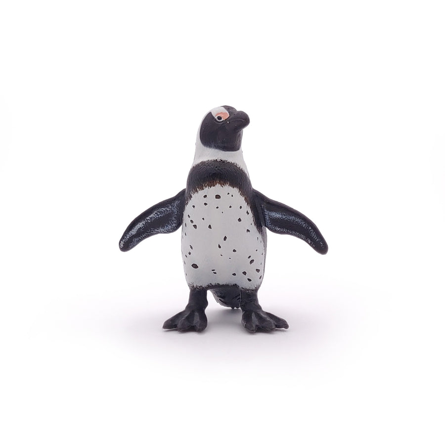 Manchot du Cap Papo en PVC, Collection animaux marins, jouet éducatif idéal pour enfants et collectionneurs