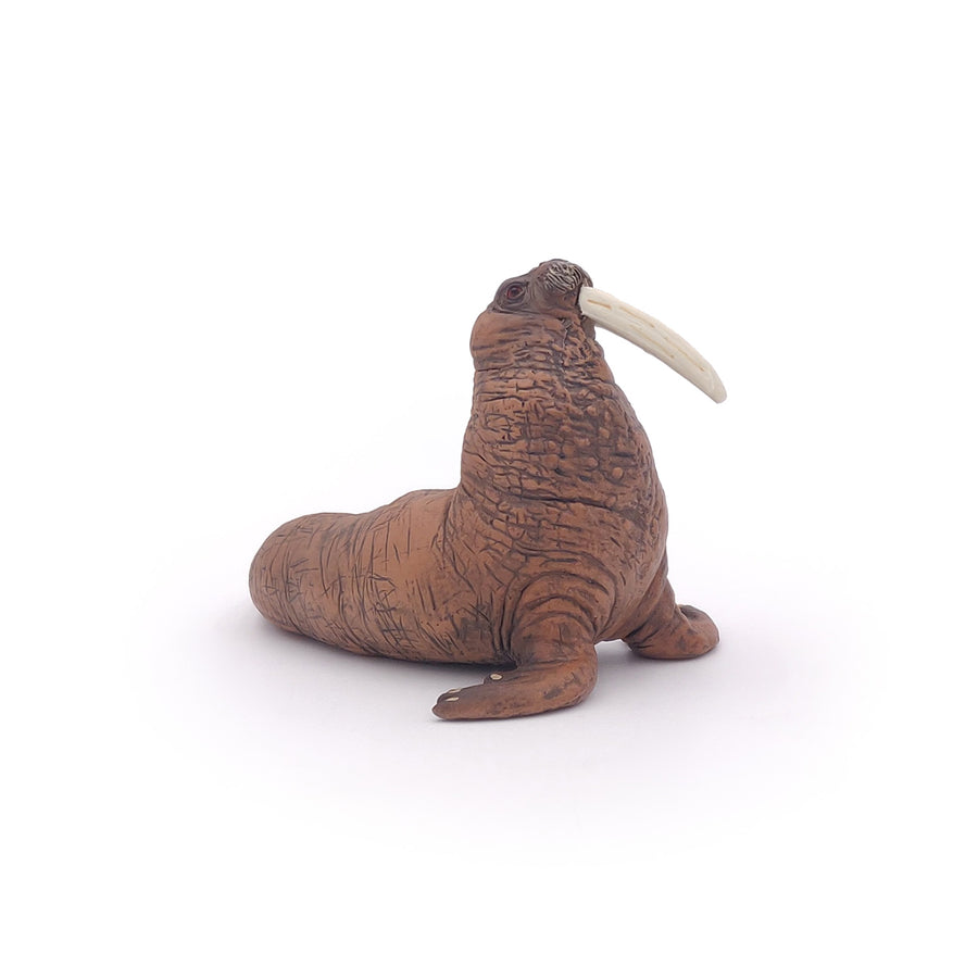 Figurine Morse Papo en PVC, Collection animaux marins, jouet éducatif idéal pour enfants et collectionneurs