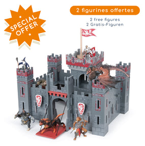 The Fantastic Castle